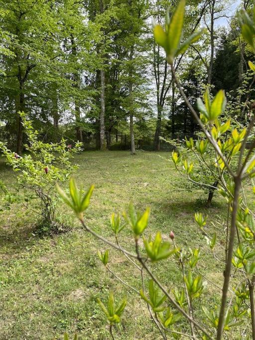 Gite Les Reculons Au Pied Du Lac Les Midoux Экстерьер фото